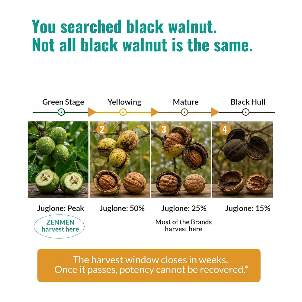 Zenmen Organic Green Black Walnut Hull Tincture - Highly Potent