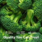 Micro Ingredients Organic Broccoli Powder - 1 lb - image 6
