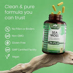 NaturaLife Labs Sea Moss & Ashwagandha Blend - 90 Vegetarian Capsules - image 6