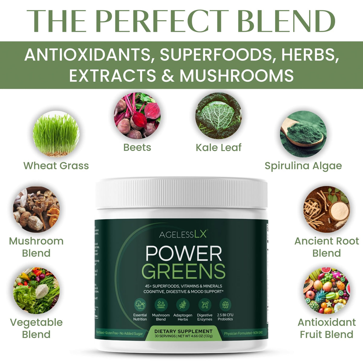AgelessLX Power Greens Superfood Powder for Energy & Immunity - 30 Servings - image 3