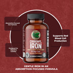 Pure Lab Vitamins Carbonyl Iron - 90 Vegetarian Capsules - image 3