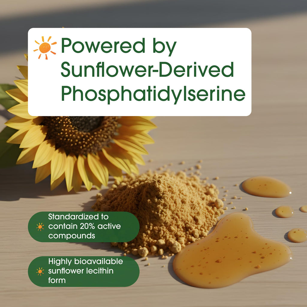 NatureBell Phosphatidylserine 500mg Brain Health - 240 Capsules - image 6