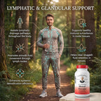Christopher's Original Formulas Blood Stream Formula - 200 Capsules - image 6