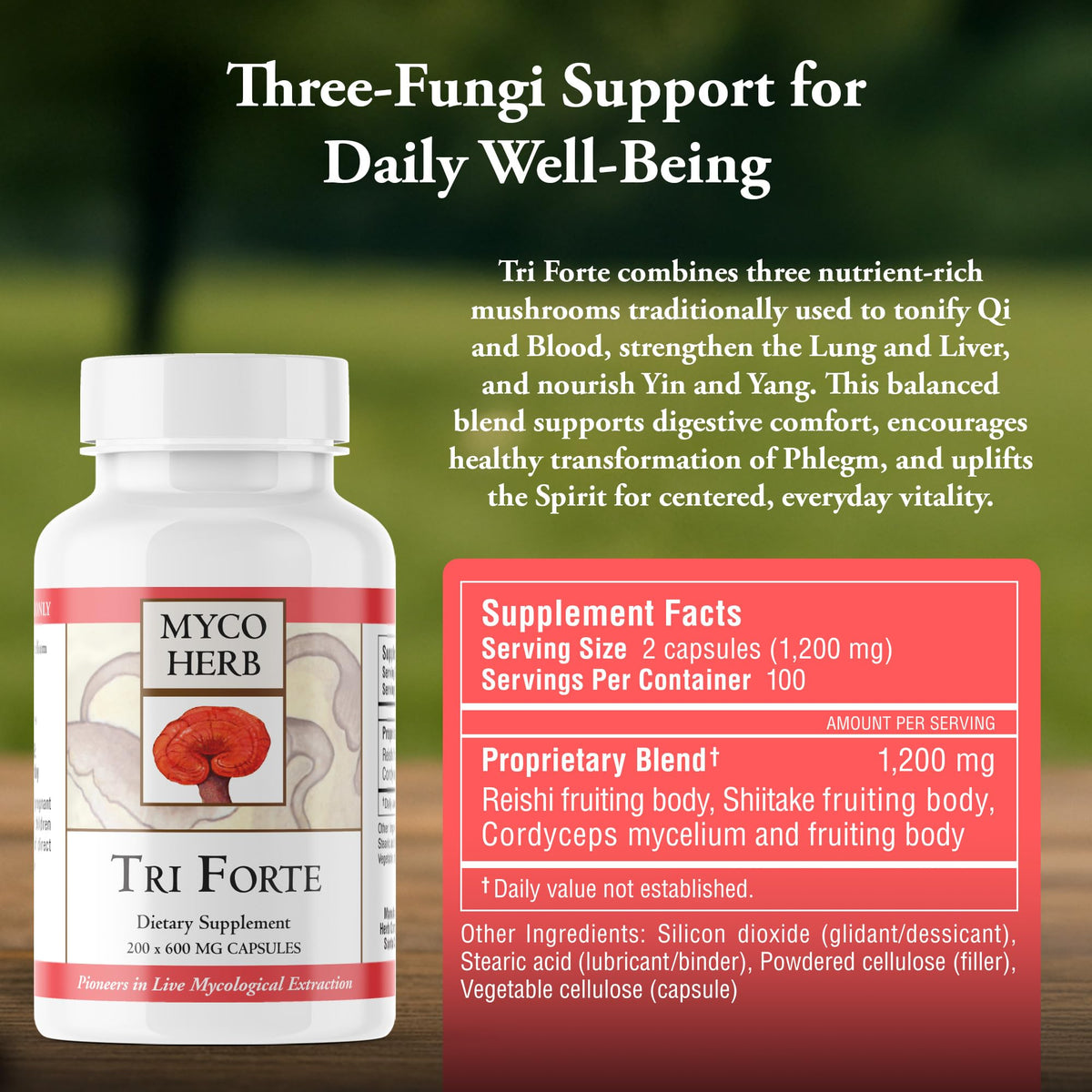 Kan Herbs Tri Forte Three-Mushroom Extract Vitality - 120 Tablets - image 3