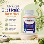 Vitamatic Akkermansia Muciniphila Gut Health - 60 Capsules - image 6
