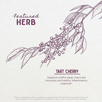WishGarden Organic Tart Cherry Tincture for Sleep Support - 2 fl oz - image 4