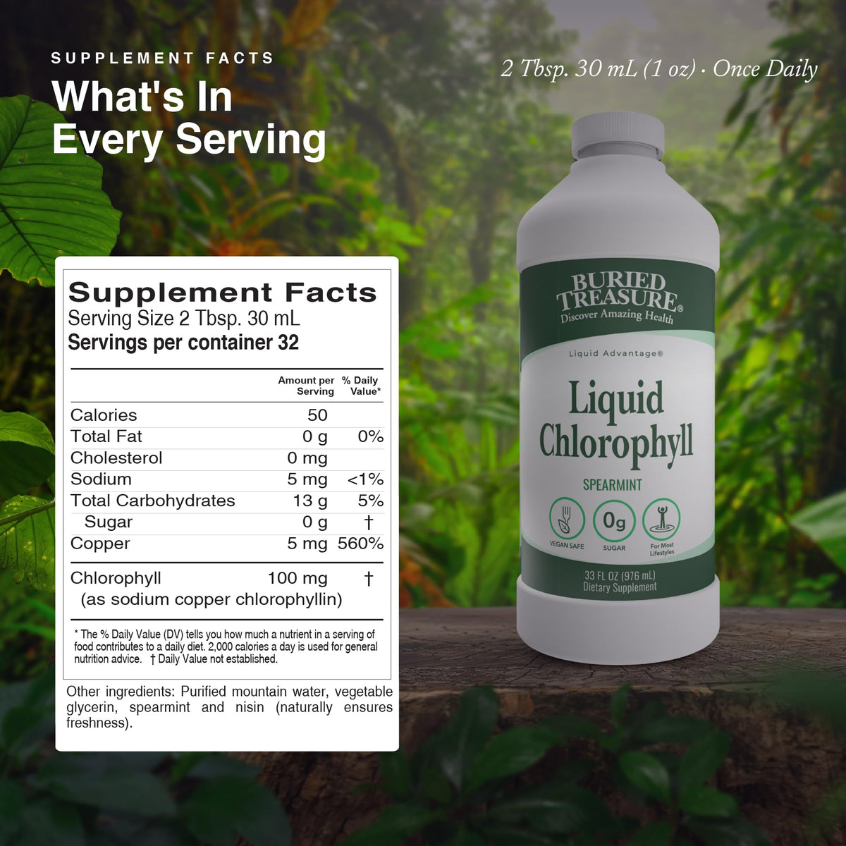 Buried Treasure Liquid Chlorophyll 100 mg Digestive Support - 32 Fl Oz - image 2