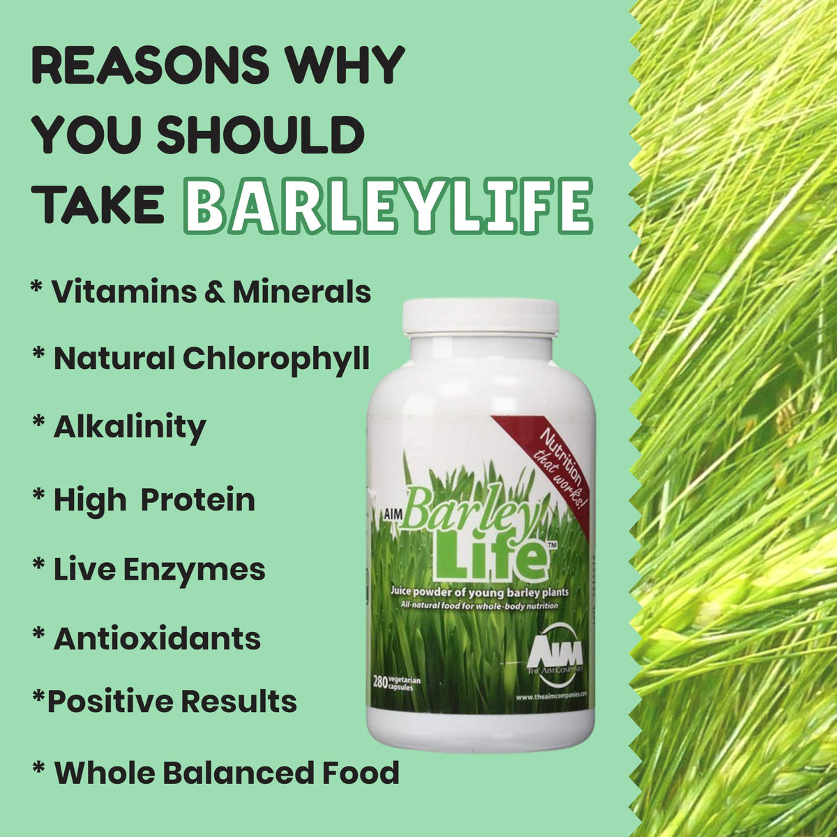 AIM Barleylife Juice Powder Capsules - 560 Capsules - image 4