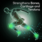 X Ray Dol Joint Health Supplement Tablets - image 5