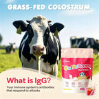 JUYIHEAL Core Bovine Colostrum Gummies Immune Support - 60 Servings - image 4