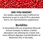BrocElite BerbElite Berberine HCL with Broccoli Seed Complex - 60 Capsules - image 4