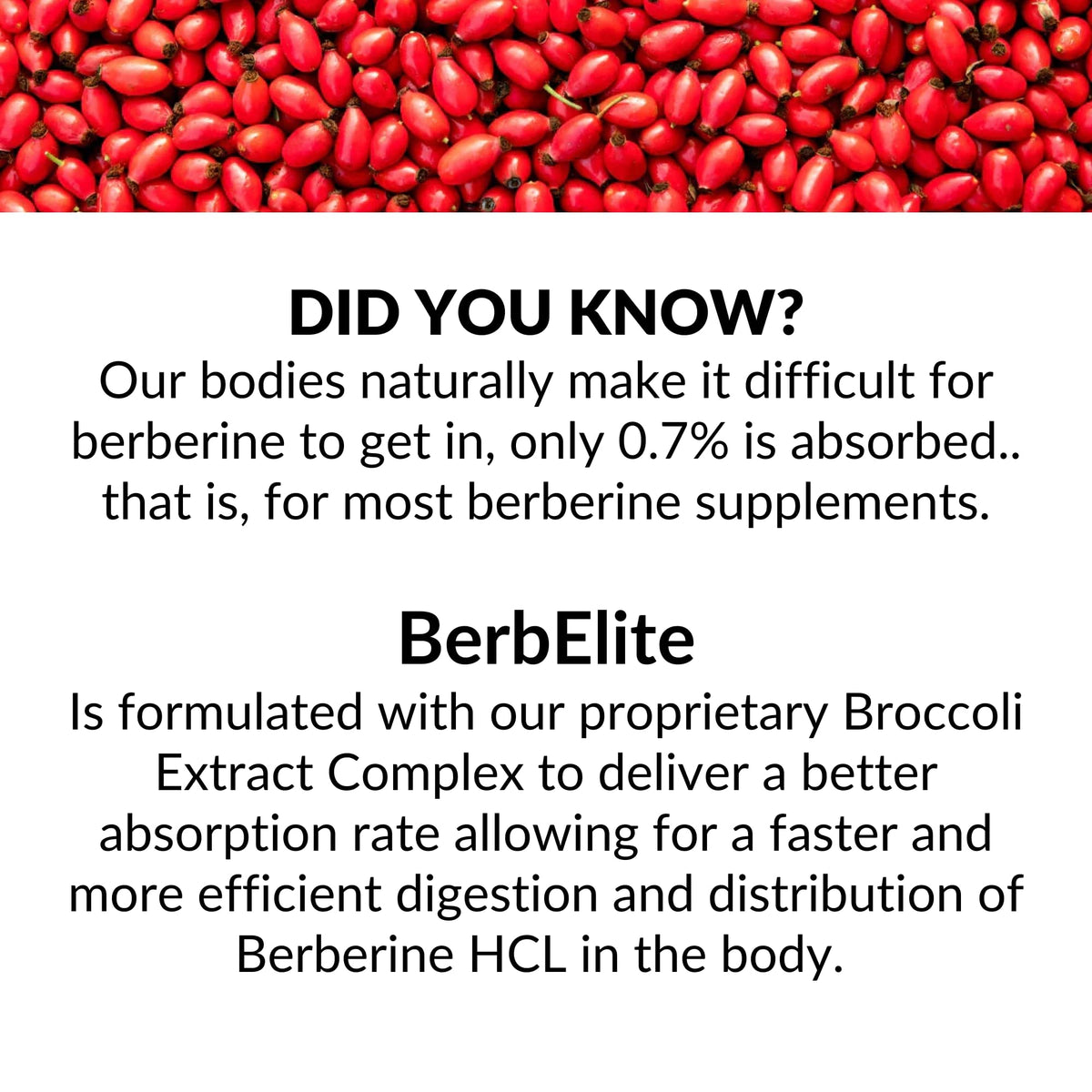 BrocElite BerbElite Berberine HCL with Broccoli Seed Complex - 60 Capsules - image 4