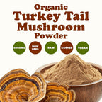 Food to Live Organic Turkey Tail Mushroom Powder