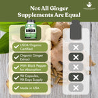 American Standard Supplements Organic Ginger Extract - 90 Capsules - image 5