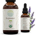 HerbEra Bugleweed Alcohol-Free Herbal Extract Tincture