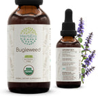 HerbEra Bugleweed Alcohol-Free Herbal Extract Tincture