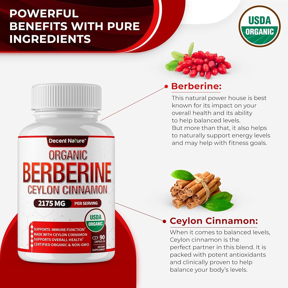 DECENT NATURE Organic Berberine with Ceylon Cinnamon - 90 Capsules - image 3