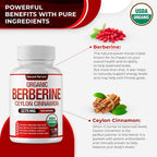 DECENT NATURE Organic Berberine with Ceylon Cinnamon - 90 Capsules - image 3
