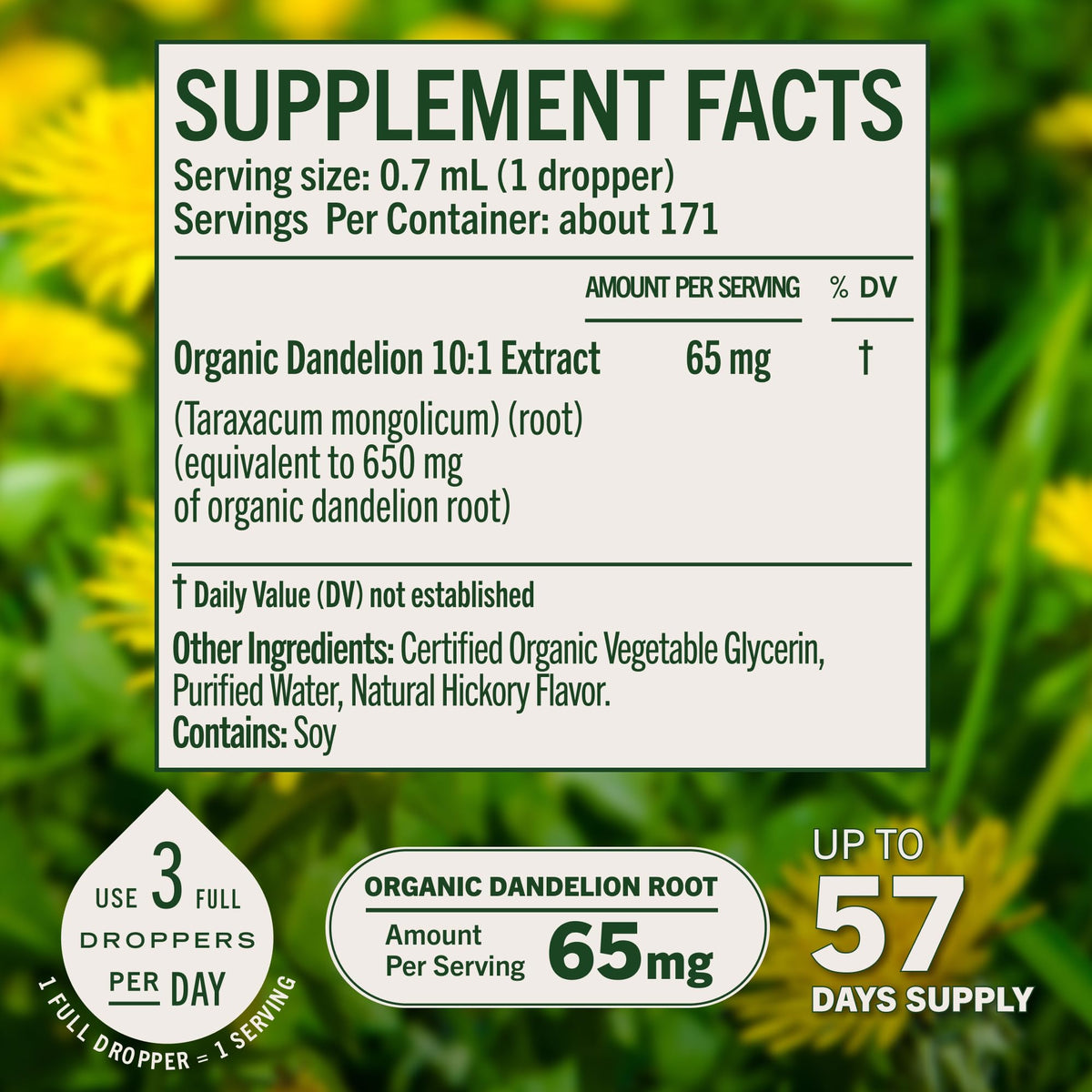 HERBAMAMA USDA Organic Dandelion Root Extract Liver Support - 4 oz - image 4
