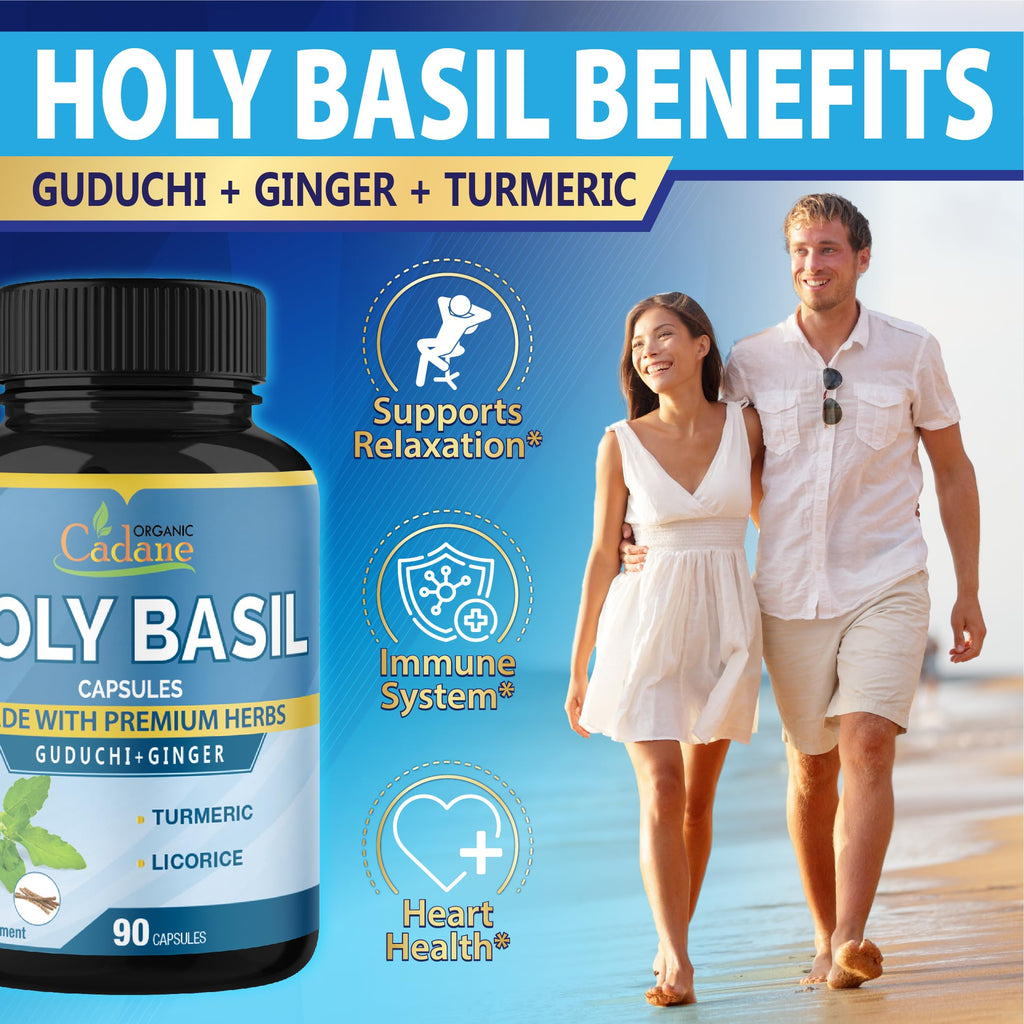 Organic Cadane Holy Basil Supplements with Turmeric & Ginger - 90 Capsules - image 4