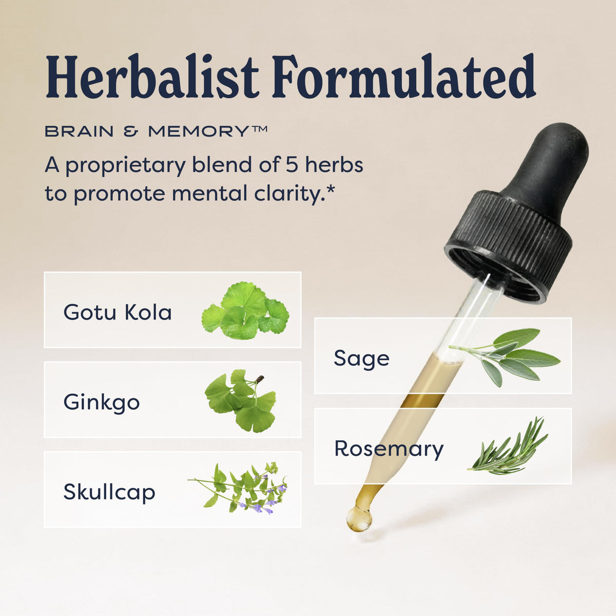 Herb Pharm Brain & Memory Ginkgo Biloba Liquid Extract - 4 oz - image 5