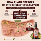 Well&Whole Cholesterol Support Liquid