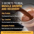 RISE311 Plant-Based Protein