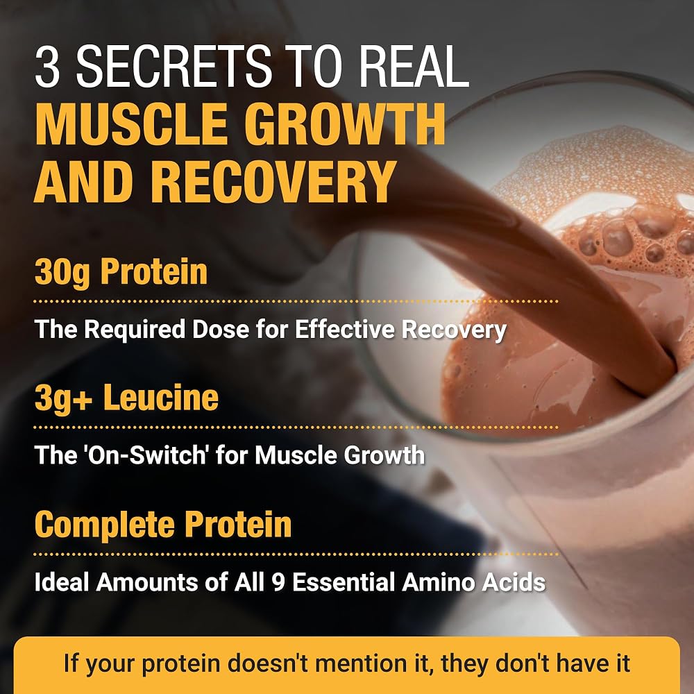 RISE311 Plant-Based Protein