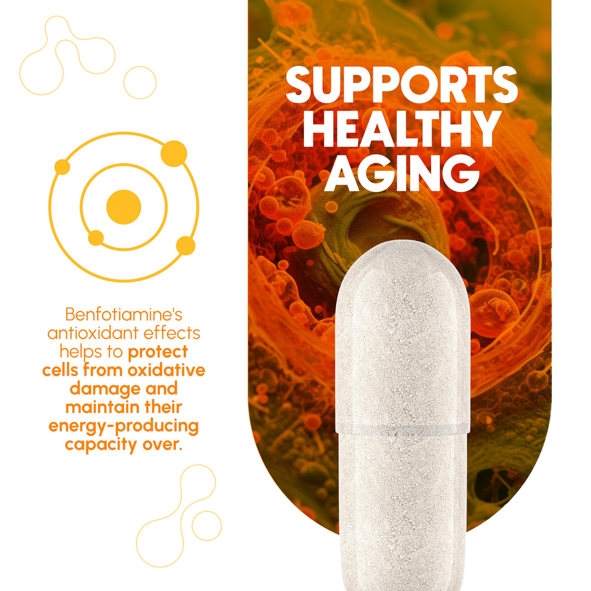 Zenavea Benfotiamine 300mg Vitamin B1 - 180 Capsules - image 6