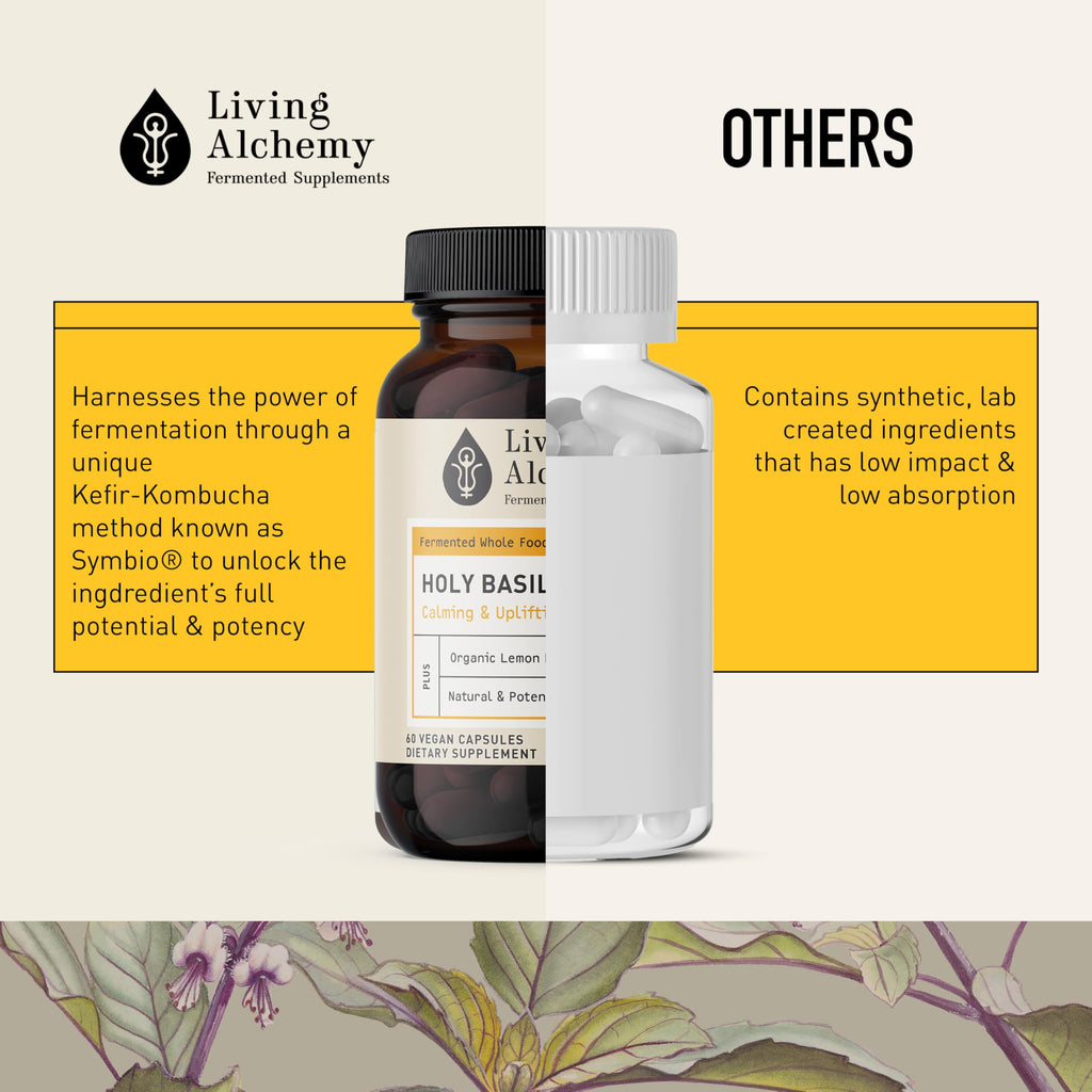 Living Alchemy Fermented Holy Basil Supplement - 60 Capsules - image 5