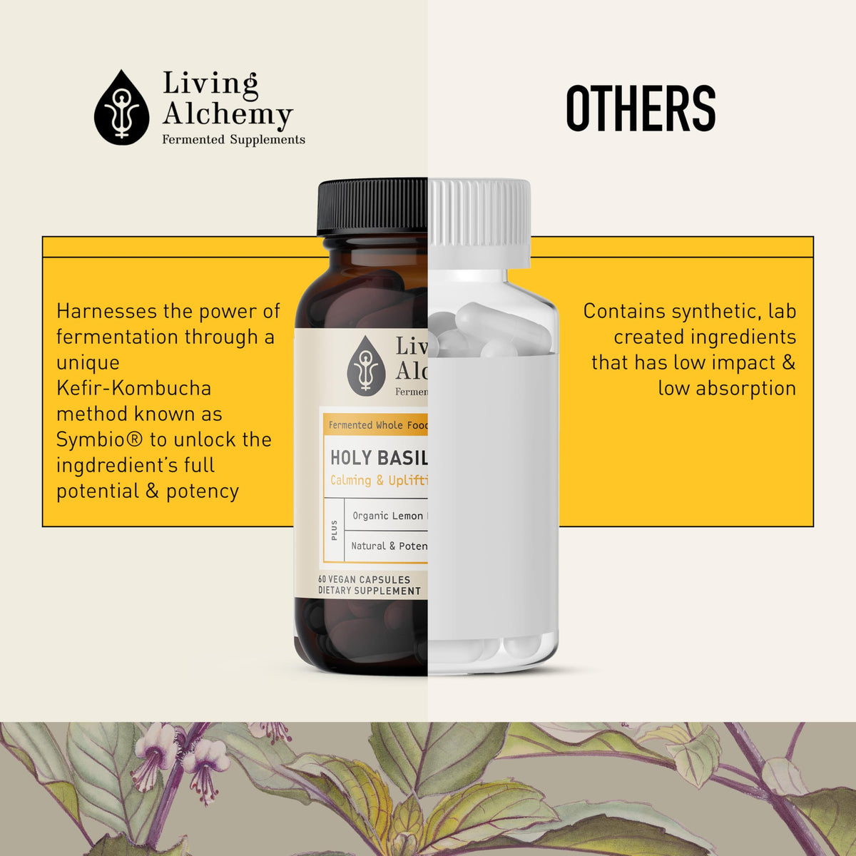 Living Alchemy Fermented Holy Basil Supplement - 60 Capsules - image 5