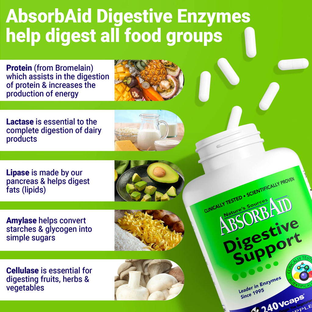 AbsorbAid Digestive Enzymes Plant-Based - 240 Vegetarian Capsules - image 6