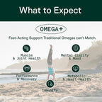 Adapt Naturals Omega 3 Fish Oil Supplement with Bioavailable Curcumin