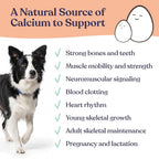 Gentle Creatures Eggshell Calcium Powder for Dogs & Cats - 7 oz - image 3