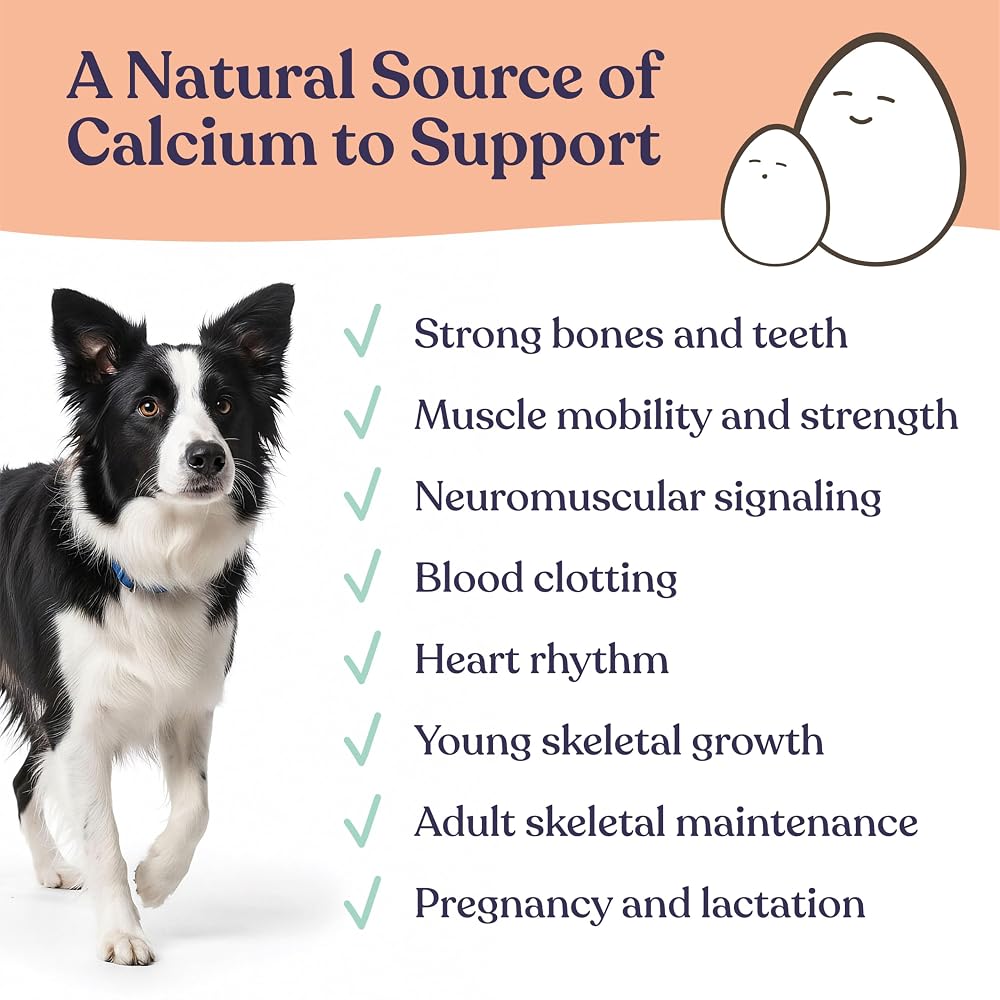 Gentle Creatures Eggshell Calcium Powder for Dogs & Cats - 7 oz - image 3