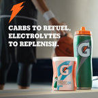 Gatorade Thirst Quencher Powder 1