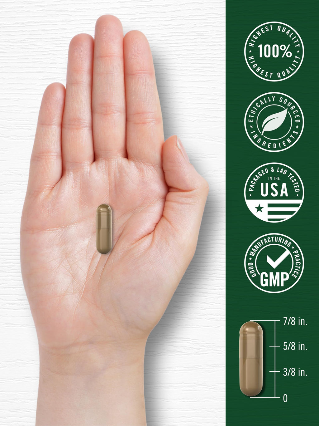 Carlyle Astragalus Root Extract - 150 Vegetarian Capsules - image 7