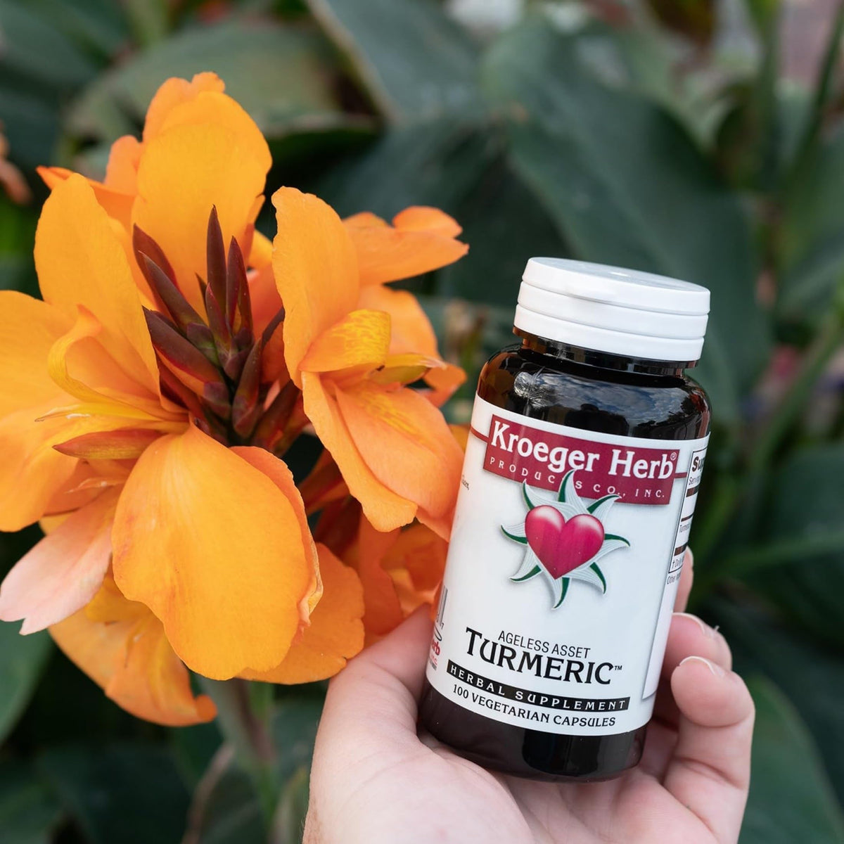 Kroeger Herb Turmeric 900 mg Joint Support - 100 Vegetarian Capsules - image 3