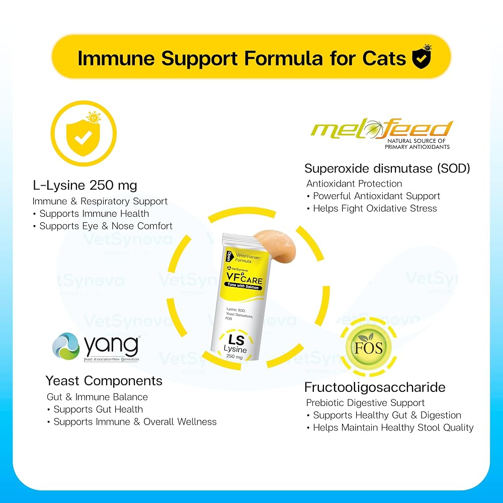 VFCARE L-Lysine for Cats 250mg Immune Support - 30 Sachets - image 3
