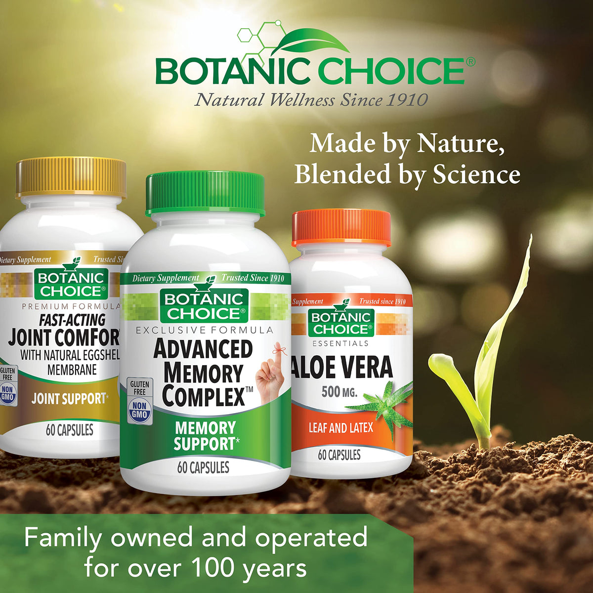Botanic Choice Advanced Memory Complex Brain Supplement - 60 Capsules - image 6