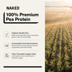 Naked Pea Protein Isolate from North American Farms