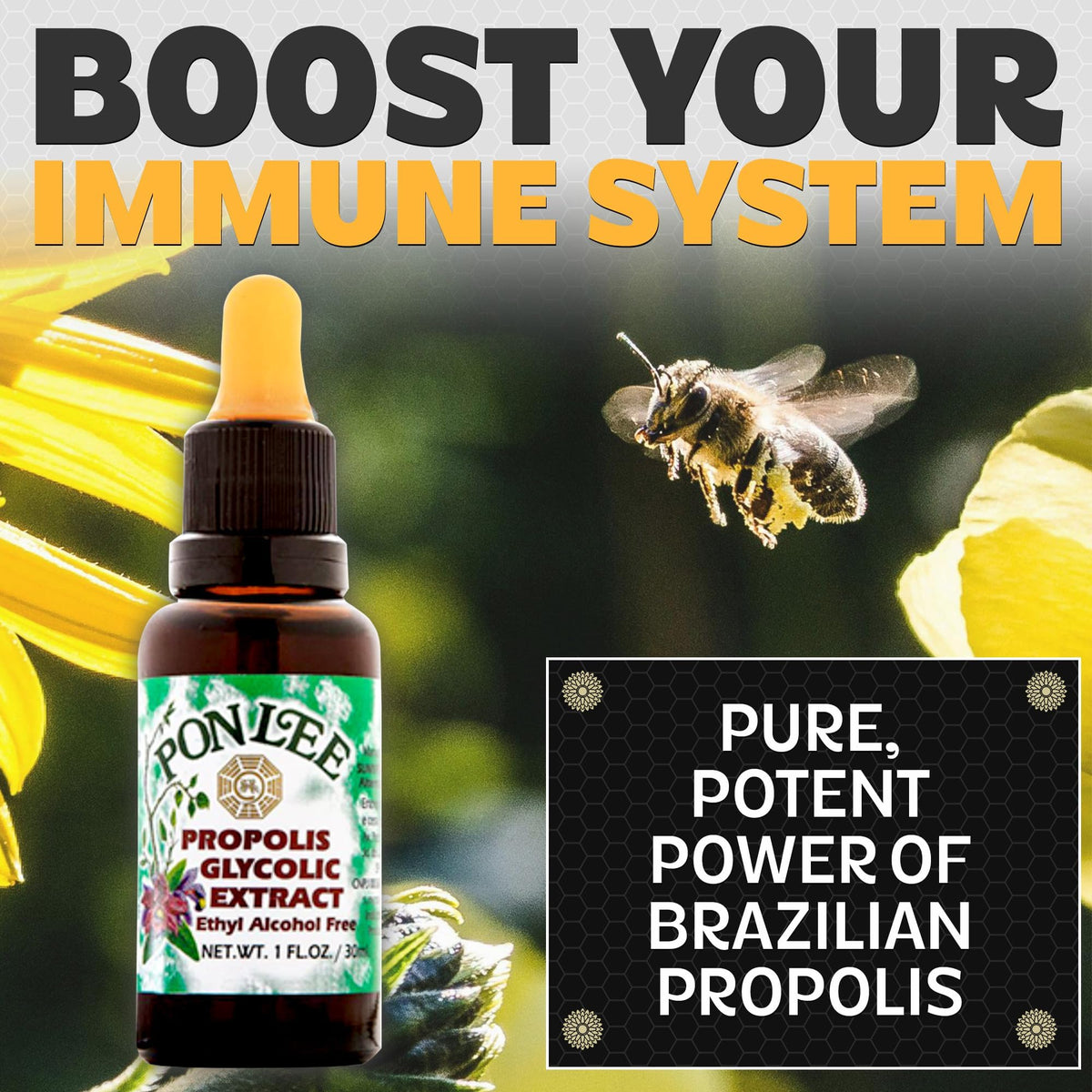 PONLEE Brazil Green Bee Propolis Extract, Alcohol-Free - 30ML - image 2