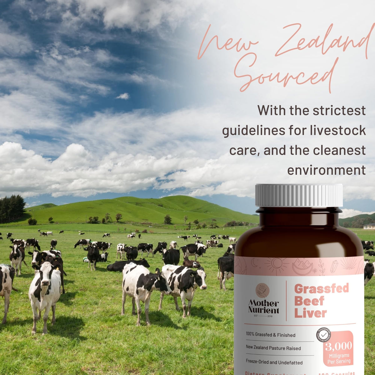 Mother Nutrient Grass Fed Beef Liver Capsules - 180 Count - image 2