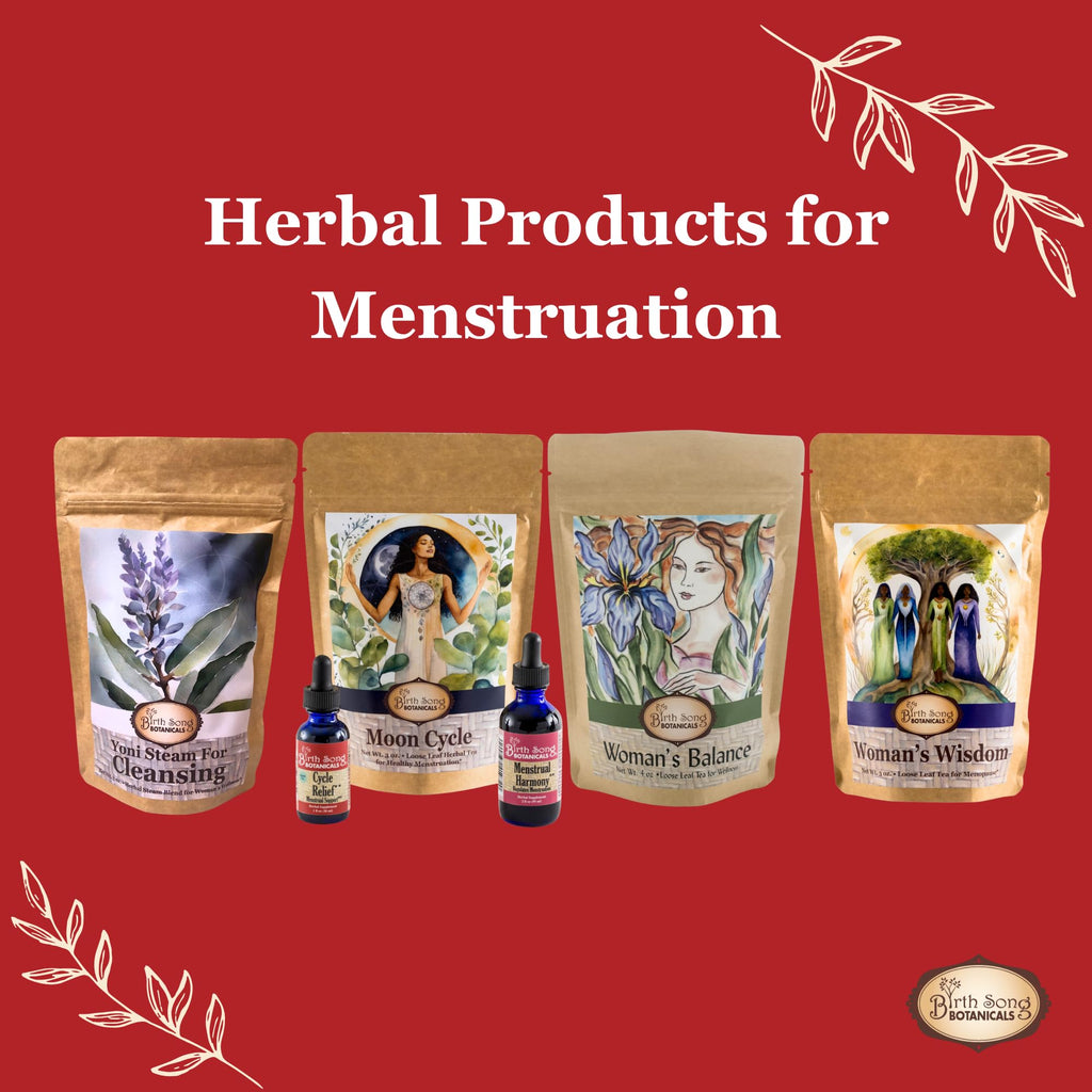 Birth Song Botanicals Menstrual Cycle Support Tincture - 1 oz - image 7