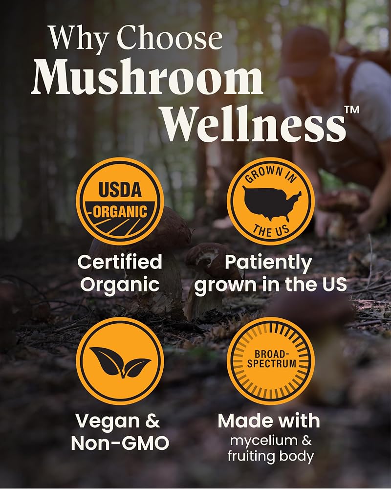 Herb Pharm Mushroom Wellness Everyday 10 Organic Capsules - 90 Vegan Capsules - image 5