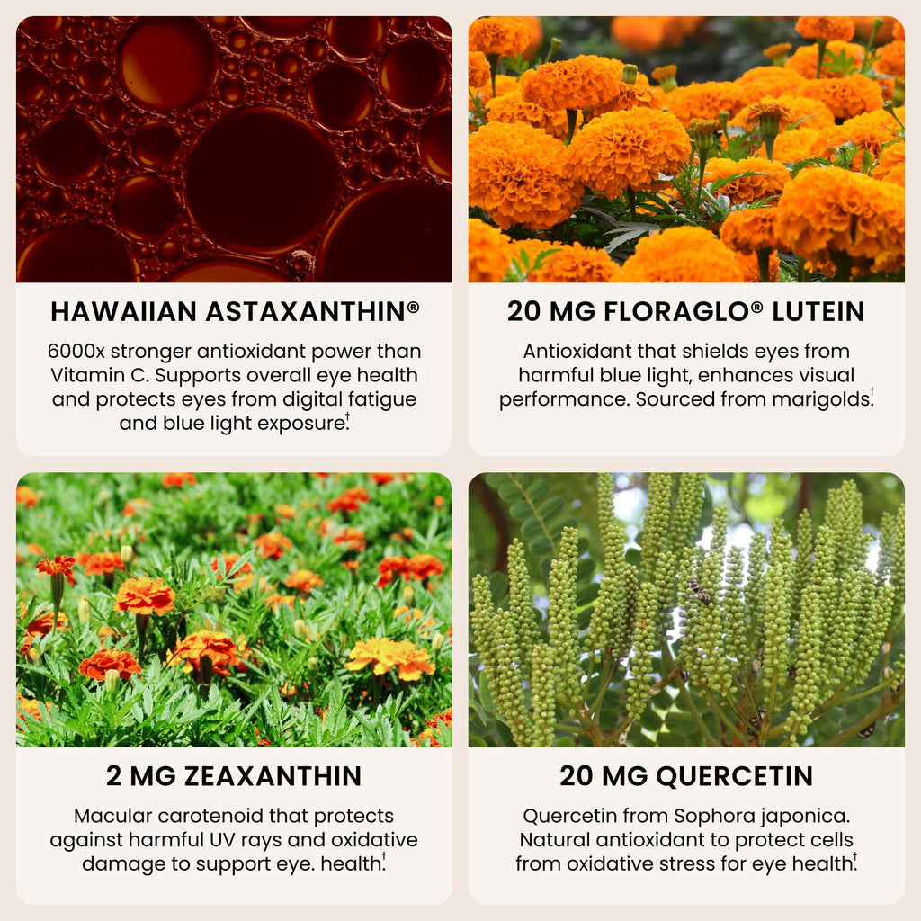 Nutrex Hawaii EyeAstin Astaxanthin Lutein Zeaxanthin - 60 Softgels - image 4