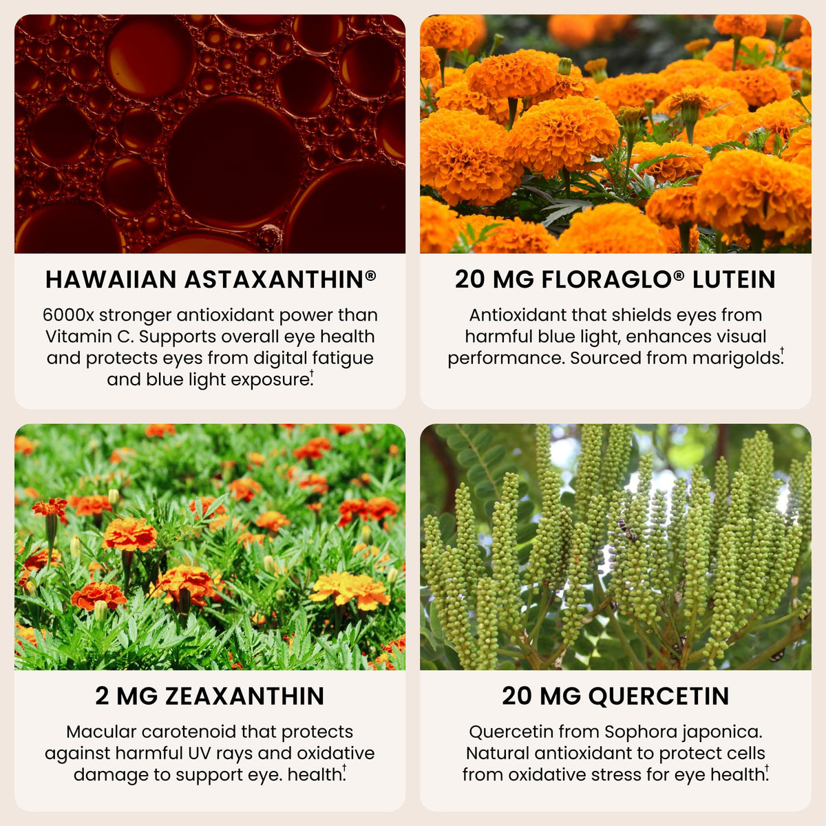Nutrex Hawaii EyeAstin Astaxanthin Lutein Zeaxanthin - 60 Softgels - image 4