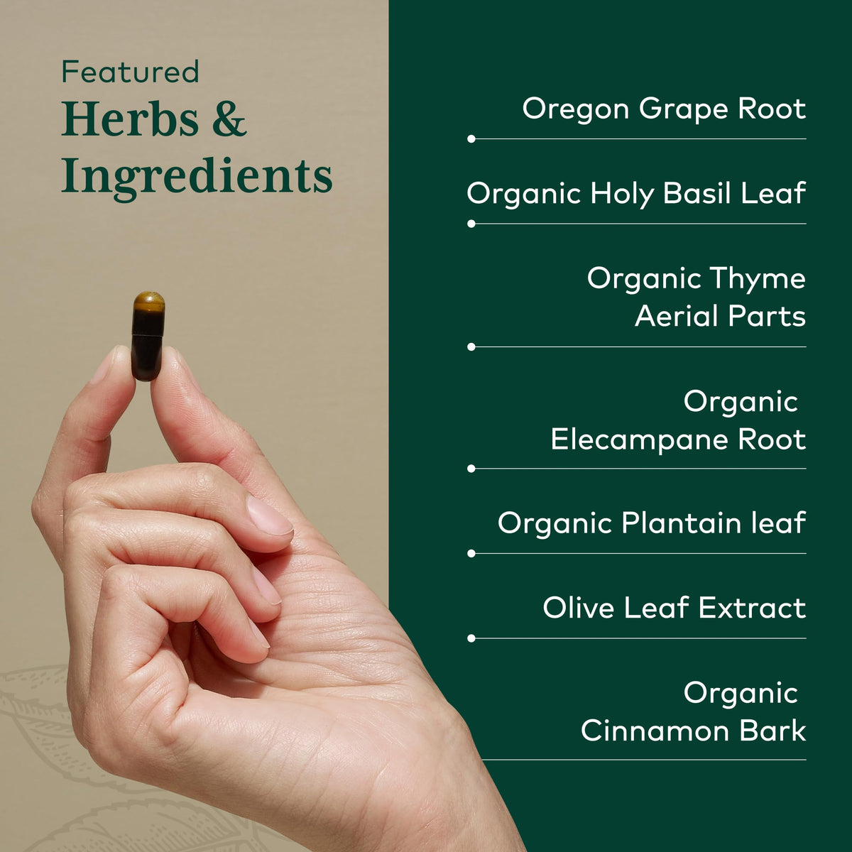 Gaia Herbs PRO Intestinal Fungal Balance - 60 Vegan Capsules - image 4