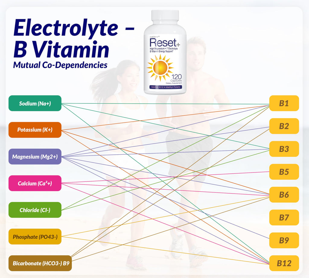CELCLENE Reset+ Electrolyte & B Complex - 120 Capsules - image 6