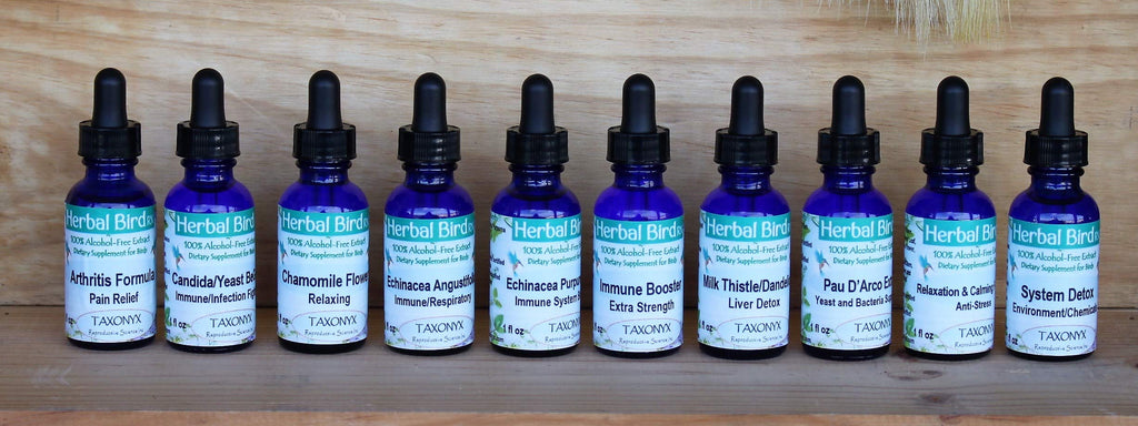 Taxonyx Science Echinacea Angustifolia Herbal Supplement - 2 fl oz - image 3